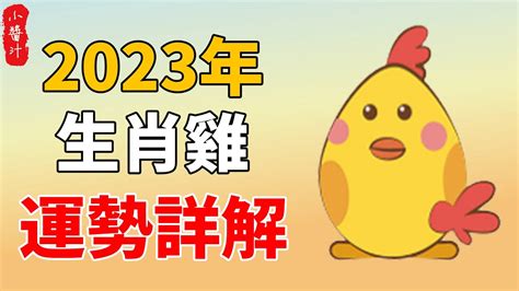 1993屬雞2023運勢|【93年屬雞人每月運勢】1993年屬雞人2023年運勢及運程93年30。